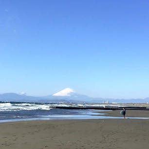 神奈川　
鵠沼海浜公園

富士山とサーファーが
絵になる海岸