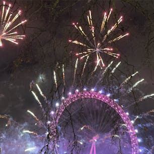New Year’s Eve Fireworks in London

w/my family