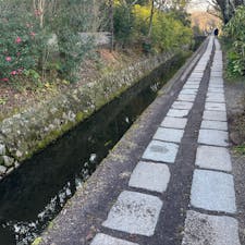哲学の道

ウォーキングには最高。天気も良くて気持ち良かったです。
桜の木がすごくあるので春にまた来ようと思います♪
2024.1.14