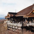京都
たくさんまわれて楽しかった~