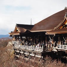 京都
たくさんまわれて楽しかった~