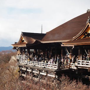 京都
たくさんまわれて楽しかった~