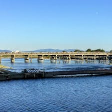 京都
渡月橋

何度も行きましたが
いつもいい感じ