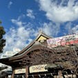 東京の湯島にある、湯島天満宮
1月上旬でしたが、たくさんの人が参拝されていました。2月、3月には梅まつりも開催！
周りにも神社やお寺などもあります！

#湯島天満宮
#湯島
#神社
#神社参拝