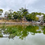 猿沢池

ここから興福寺の五重塔が見れます。
水面に映る塔もいい感じです。
2024.1.21