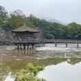 浮見堂

奈良公園の浮見堂がまさかの池の水抜いてます状態でした。
でもこのタイミングで見れるのも一生無いと思えば、貴重なので笑。
2024.1.21