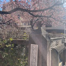 2023.2.21 
静岡旅行1日目

熱海
プリン
夜何もやって無さすぎて、よく分からない洋食屋さん行った