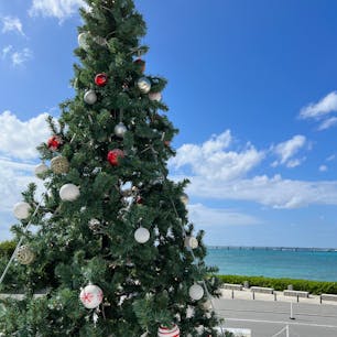 クリスマスの沖縄🎄