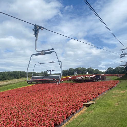 ひるがのピクニックガーデン