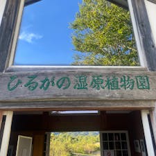 ひるがの湿原植物園
次はオンシーズンに行きたいな🌱
#202309 #s岐阜