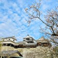 愛媛
松山城

現存12天守の一つ
ロープウェイで登った
眺めのいいお城
