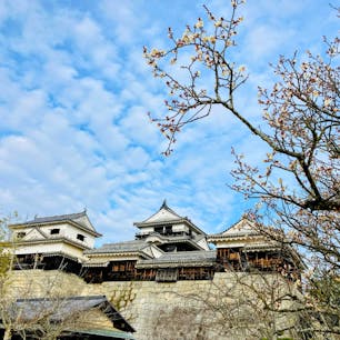 愛媛
松山城

現存12天守の一つ
ロープウェイで登った
眺めのいいお城