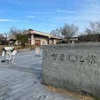 奈良県立万葉文化館

日本の文学歴史において最古の歌集、万葉集の、
遺跡と共存している文化施設。
駐車場も一般展示も無料です。
日本画展示室は有料になりますが、
万葉集にちなんだ絵画でしたが、なかなか良かったです♪
2024.1.28