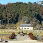 蘇我入鹿の首塚

飛鳥時代　大和朝廷　蘇我氏、時の権力者。
飛鳥寺の側、田畑の場所にポツンとありました。
首が飛んだ⁉︎ 怖いので遠目からで。
2024.1.28