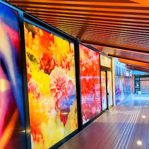 愛媛
道後温泉別館　飛鳥乃湯泉

写真家・蜷川実花さんの作品