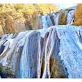 氷瀑を見に冬の袋田の滝へ✨

完全氷瀑とはいかなかったですが、日本三大名瀑にふさわしい迫力ある凍りついた滝を見られて満足♪

帰りに滝近くの茶店で、みそ田楽と名物グルメのけんちんうどんを頂き、冷えた体があたたまりした🥰