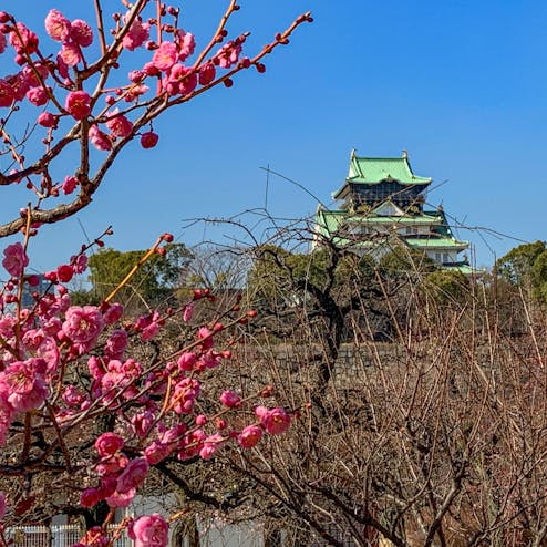 大阪城公園
