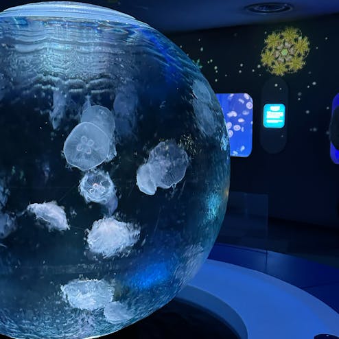 新江ノ島水族館