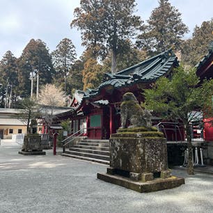 箱根神社⛩