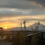 御殿場プレミアム・アウトレット🗻