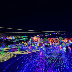 動物とも触れ合えるイルミネーション🌟

毎年違うので
一年に一度は行きたくなります☺︎︎︎︎