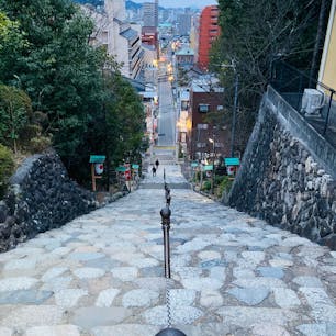 愛媛
伊佐爾波神社

結構な階段を上って
朝の道後の街を眺めてみる