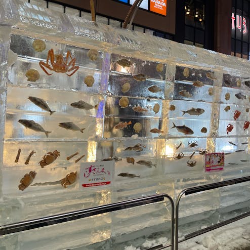 さっぽろ雪まつり すすきの会場