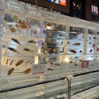 さっぽろ雪まつり　2024
すすきの会場
氷の彫刻がライトアップされていてとても綺麗でした。