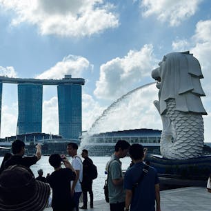 久々の海外、☺️
シンガポール
雨季で湿度もめちゃくちゃ高く、蒸し暑いけど、楽しめました🥰
