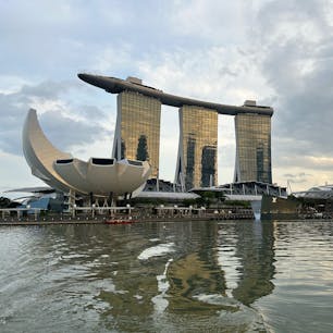 マリーナベイサンズホテルからの眺めもよし😉植物園も涼しくゆっくり和めます。
夜のボートでのクルーズも綺麗😍
