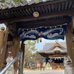 20240211

福岡　八女
福島八幡宮

ふらりと歩いてたら
沢山の御朱印で有名な
福島八幡宮を見つけた

お多福門をくぐると
尻上がりに運気が良くなる
お尻をあげた可愛い狛犬

境内には白いワンちゃんもいて
沢山の参拝客に可愛がられてました
入り口にあった白い犬の置物のモデルかな

御朱印は切り絵など沢山ありすぎて
結局通常のものをいただきました
今度もしまた機会があれば
猫ちゃんの切り絵の御朱印が欲しいな