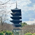 東寺

京都のシンボル、東寺の五重塔。
これぞ日本一の高い木造塔。
近くから見ると大きさに感動しますね。
特別拝観で中もお参りさせていただきました。
中央東西南北に如来像、周りに菩薩像が安置されており、
素晴らしい国宝です♪
2024.2.11