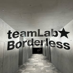 昨日、麻布台ヒルズにできた「チームラボボーダレス」に行ってきました！
最新の光のアートを楽しめます。
自身の書いた海の生物を泳がせたりもできるので、お子様も楽しめると思います。

#チームラボボーダレス麻布台 
#チームラボボーダレス
#teamlab 
#teamlabborderless