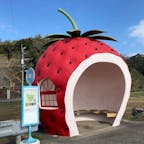 20240213

長崎県　諫早
フルーツバス停

なかなかうまく撮れなかったけど
青い空に映えてて可愛かった
いちご　トマト　メロン　すいか　みかん