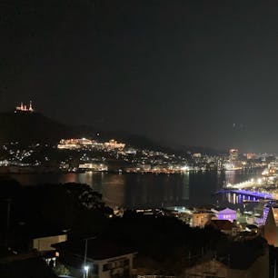 長崎県/グラバースカイロードからの夜景

夜のグラバースカイロードは人が少なく少し怖かったですが、上り切った場所からの夜景はとても綺麗でした。

#puku2'24
#puku2"02
#puku2女子旅
#長崎#グラバースカイロード#夜景