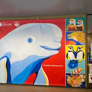 ドライアイスを使った展示など、変わった展示があって良かった。
コンパクトで周りやすい。
そしてスナメリがかわいい♡