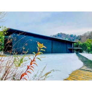 京都　
森の中の家　安野光雅館

2回目の訪問は冬
雪景色でした

安藤忠雄さん設計