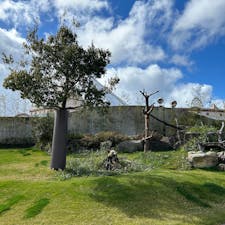 🔖白浜アドベンチャーワールド

よーーーく食べて、すこししたら丸くなってよーーーく寝ていました🐼アドベンチャーワールドはいつ行ってもわくわくします
😆

📷2024  February