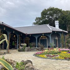 長崎県/グラバー園

第2ゲートから下りながら観光。

ハートストーンは2つ見つかりました♡

#puku2'24
#puku2"02
#puku2女子旅
#長崎#グラバー園