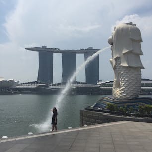 マーライオンとマリーナベイサンズ
マーライオンの口から出たやつで涼しい