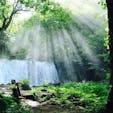 ♦︎奥入瀬渓流(青森県)
銚子大滝×木漏れ日がとても美しかったです！