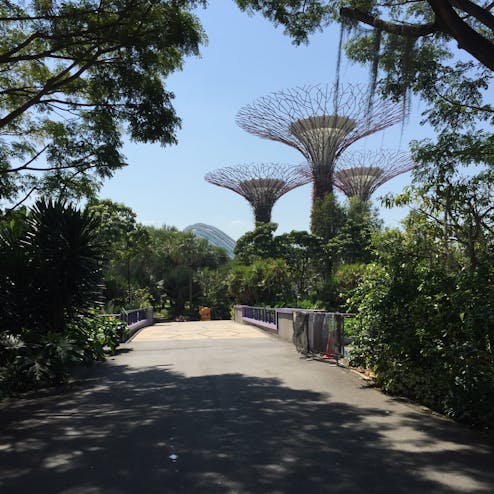 ガーデンズ・バイ・ザ・ベイ