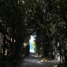 🔖沖縄

そろそろあたたかいところに行きたくなってきました〜☺️
この日差し、海の色を見るだけで癒されます🏖️🐠🪸🤿

📷2023 March