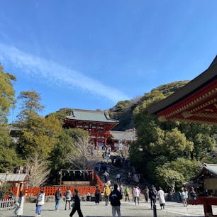 鎌倉市の鶴岡八幡宮。

写真はありませんが、自祓い所では大きな茅の輪をくぐってきました。

大石段の上からの眺めが素晴らしかった。

小町通りでの食べ歩きも楽しかったです。