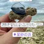 石垣島旅　パッションフルーツドリンクやマンゴー・パイン・グァバドリンク🥤　見たことのない綺麗な青色のカツオの烏帽子発見！風が強かったけど楽しかった♡