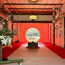 北鎌倉の明月院に来ました。
とにかく人の手で綺麗に手入れしてます。
野生のリスがたくさんいました。