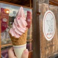 茨城県のご当地ソフト「梅ソフトクリーム」✨

偕楽園の梅で賑わう水戸市・千波公園湖畔にある「好文茶屋」さんで頂いてきました♪

ミルキーなのかと思いきや、しっかり梅で酸っぱ味もあり、ビックリ😳❣️

想像以上に梅なので、ぜひ一度食べてみて下さいね！