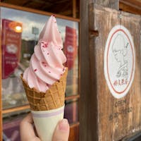 茨城県のご当地ソフト「梅ソフトクリーム」✨

偕楽園の梅で賑わう水戸市・千波公園湖畔にある「好文茶屋」さんで頂いてきました♪

ミルキーなのかと思いきや、しっかり梅で酸っぱ味もあり、ビックリ😳❣️

想像以上に梅なので、ぜひ一度食べてみて下さいね！