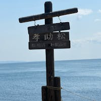 友ヶ島(沖ノ島)
孝助松

三角岩や此処からの景色も良し、何故か此の沖ノ島は椿が多いですね。

#サント船長の写真　#友ヶ島