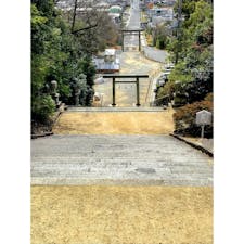 香川　屋島神社

階段を上って振り返ると
いい景色でした